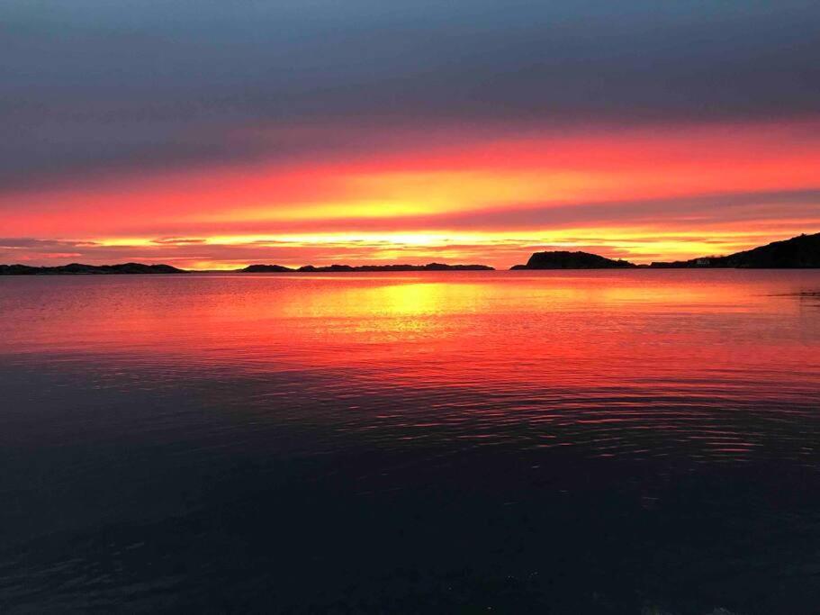 Ny Laegenhet Pa Markplan Med Havsutsikt Strömstad Eksteriør bilde