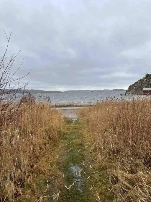 Ny Laegenhet Pa Markplan Med Havsutsikt Strömstad Eksteriør bilde